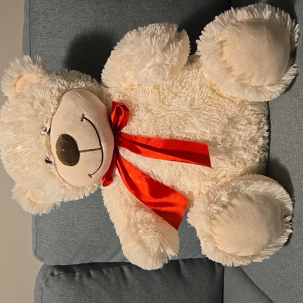 Teddy bear stuffed animal